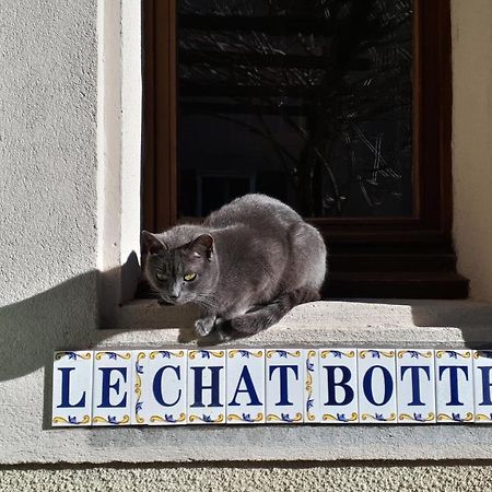 Bed and Breakfast Le Chat Botte - Vankantiehuis In Languedoc-Roussillion Routier Екстер'єр фото