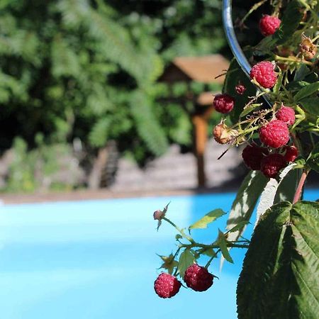 Bed and Breakfast Le Chat Botte - Vankantiehuis In Languedoc-Roussillion Routier Екстер'єр фото