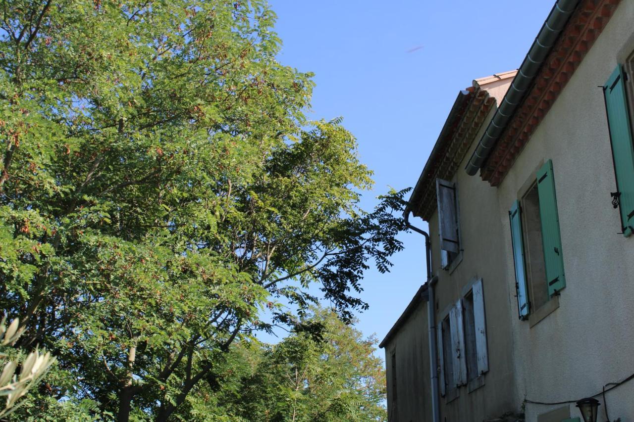 Bed and Breakfast Le Chat Botte - Vankantiehuis In Languedoc-Roussillion Routier Екстер'єр фото